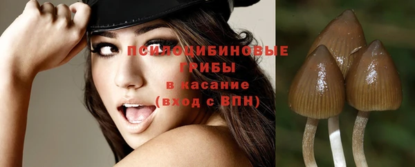 ешки Абинск
