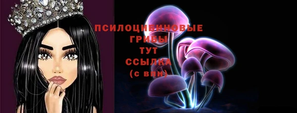 ешки Абинск