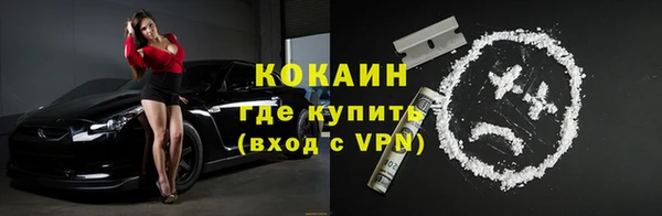 гашик Россошь