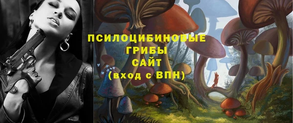 ешки Абинск