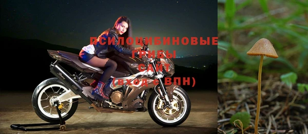 хмурый Абдулино