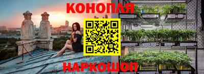 ECSTASY Будённовск