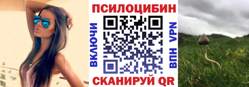 Галлюциногенные грибы ЛСД купить наркотики сайты Кашира