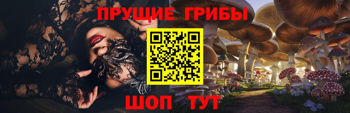 где купить наркотик  Псилоцибиновые грибы GOLDEN TEACHER  Псилоцибиновые грибы мицелий  Вход с VPN  Кашира 