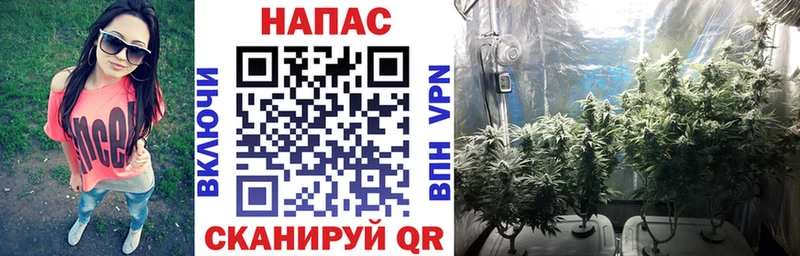 МАРИХУАНА VHQ  Кашира 